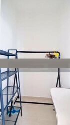 Devonshire Residences (D9), Apartment #469210351